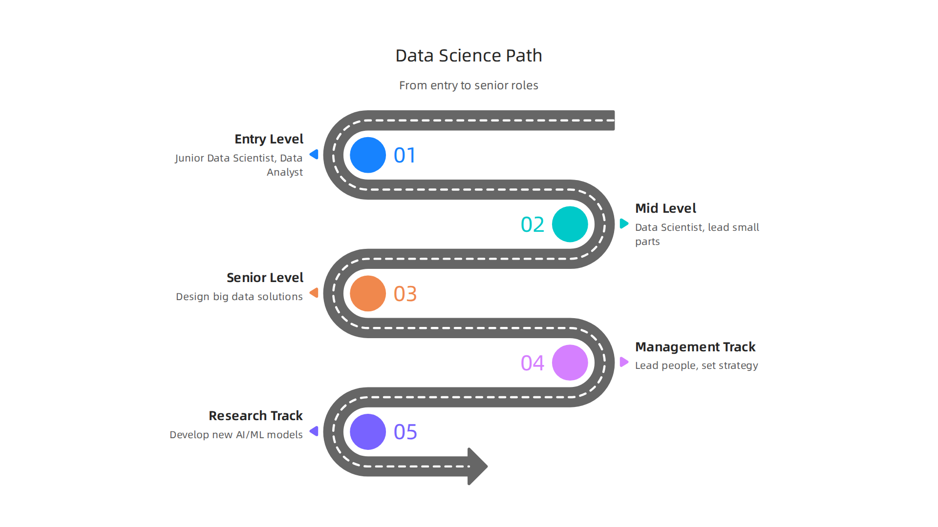 A visual map illustrating the typical career progression for a data scientist, from entry-level to advanced roles.