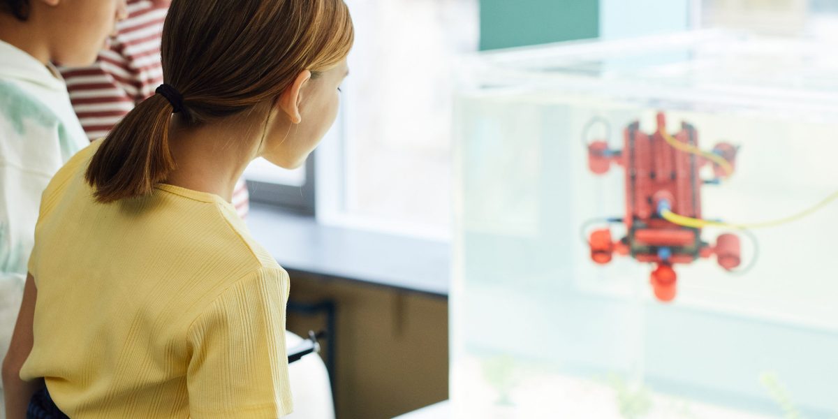 Brainly AI Features How It Works and Impact on Learning